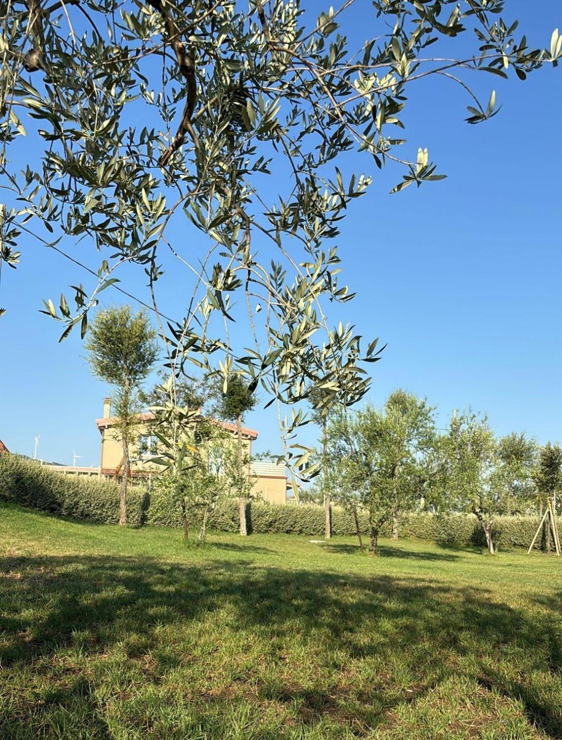 Masseria Spinale Wine Resort Melfi Exterior foto